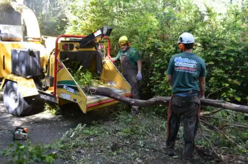 tree services Westley